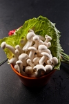 火锅配菜