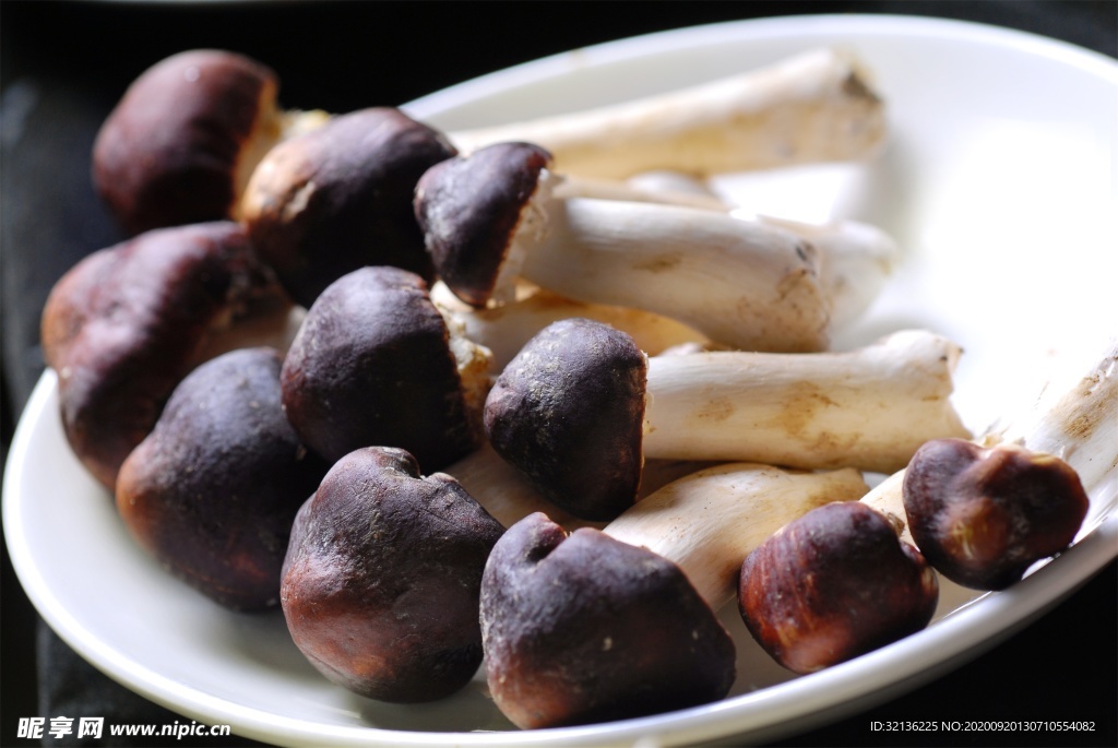 菌类食材
