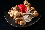 菌类食材