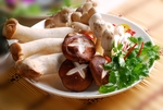 菌类食材
