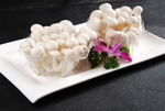 菌类食材