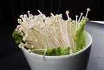 菌类食材