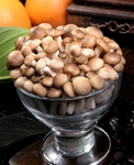 菌类食材