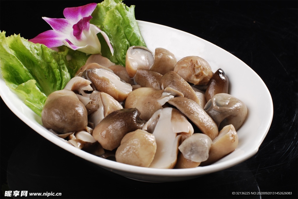 菌类食材