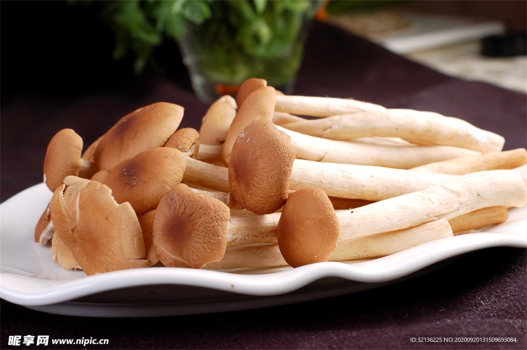 菌类食材