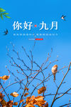 秋分