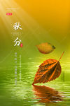秋分