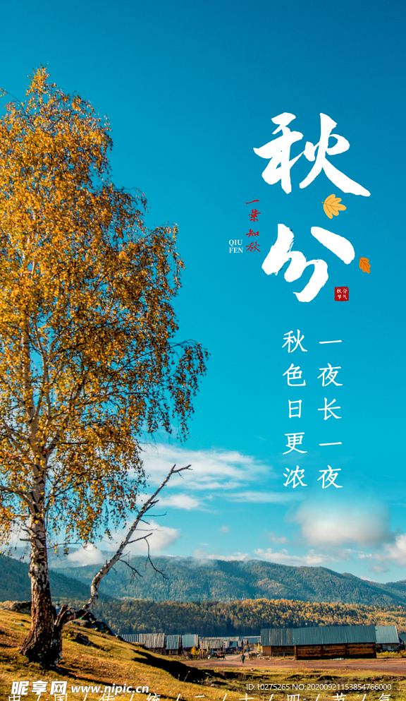 秋分节日节气摄影图海报