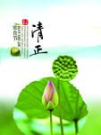 清明节