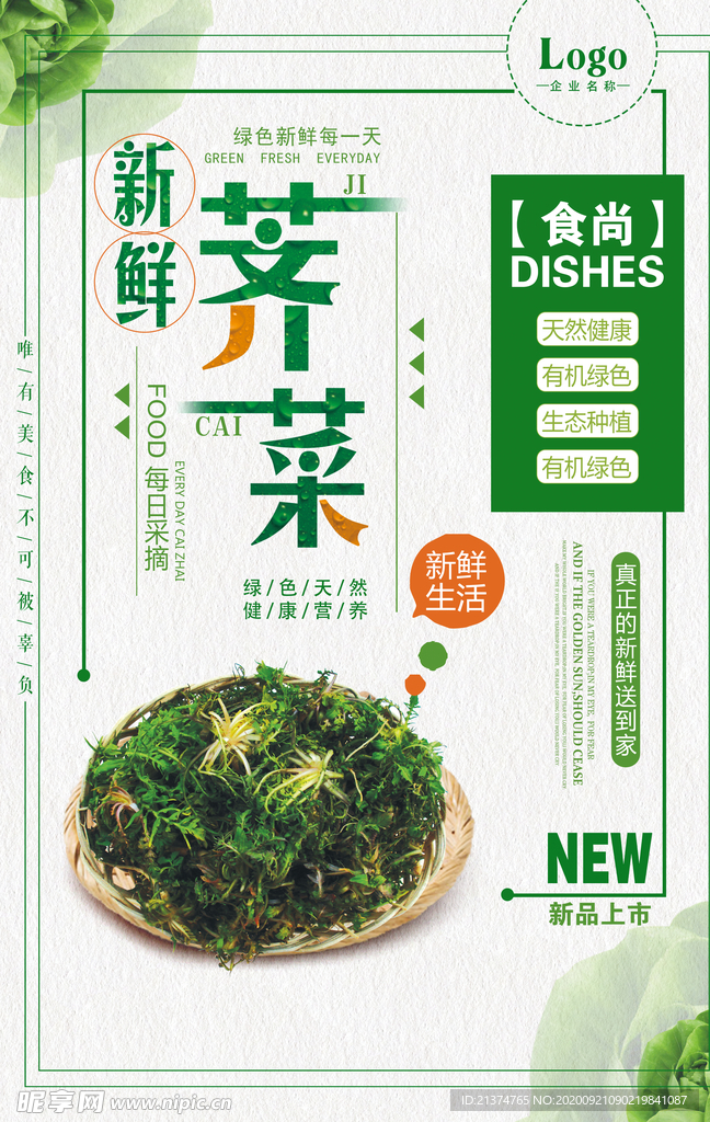 新鲜荠菜营养健康蔬菜海报