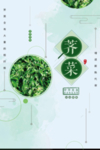 新鲜荠菜蔬菜宣传海报