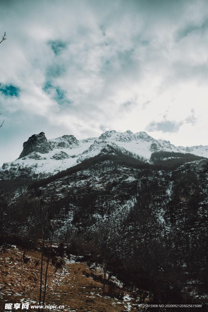 山