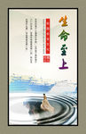 生命至上