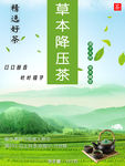 降压茶