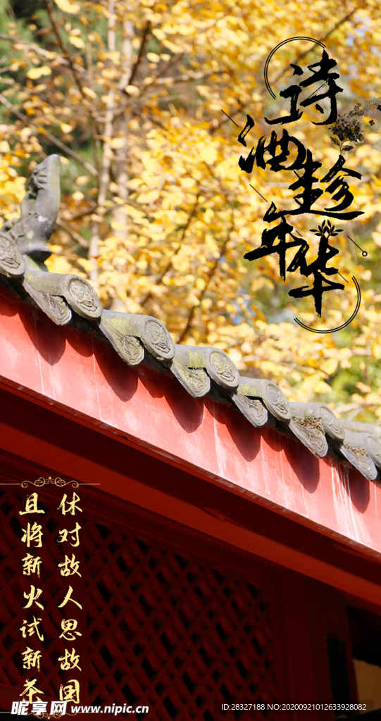 手机壁纸