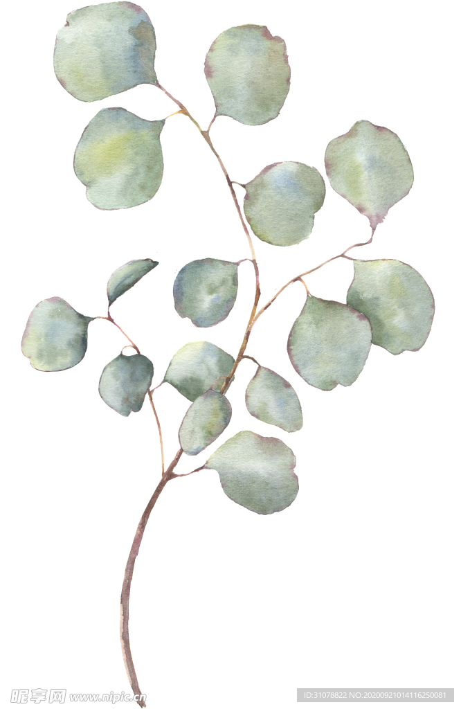 植物花朵装饰图案