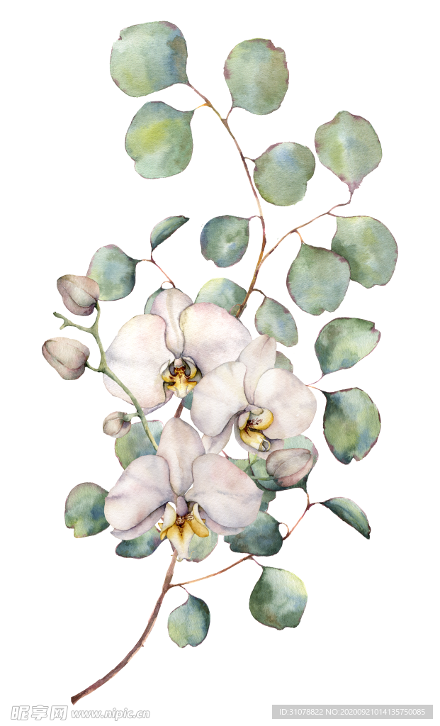 植物花朵装饰图案