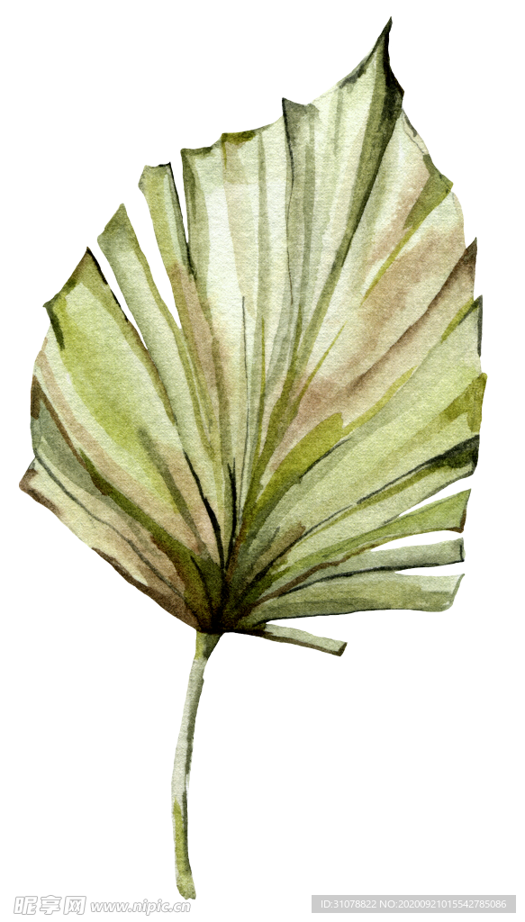 植物花朵装饰图案