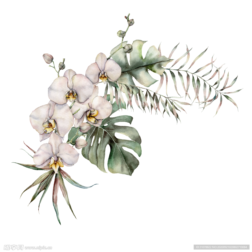 植物花朵装饰图案