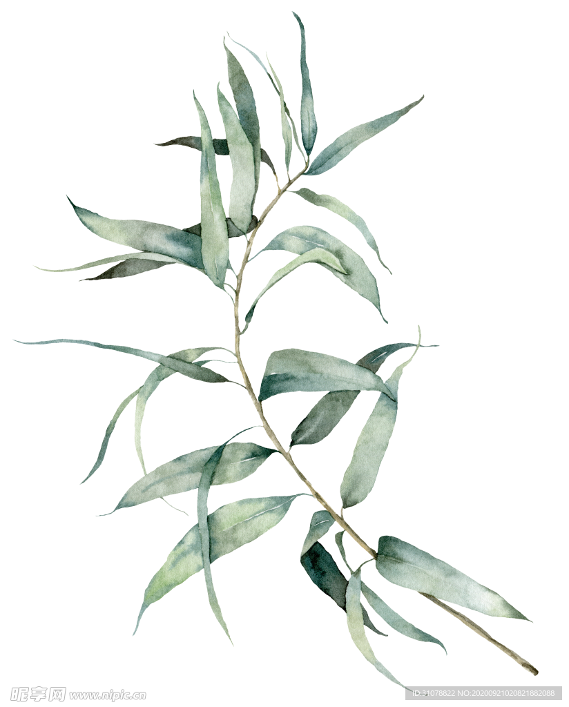 植物花朵装饰图案