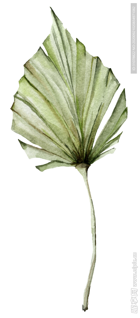 植物花朵装饰图案