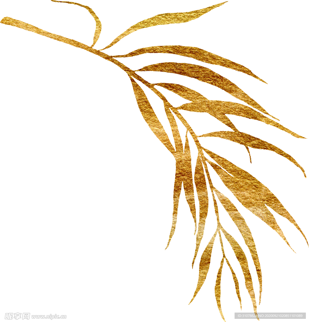 植物花朵装饰图案