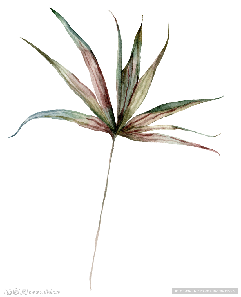 植物花朵装饰图案