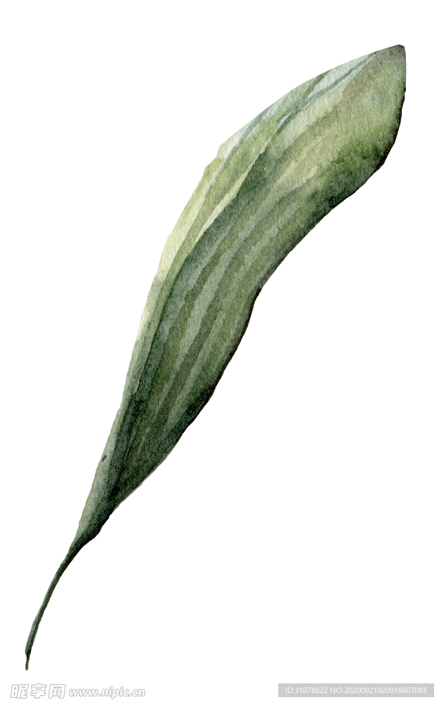 植物花朵装饰图案