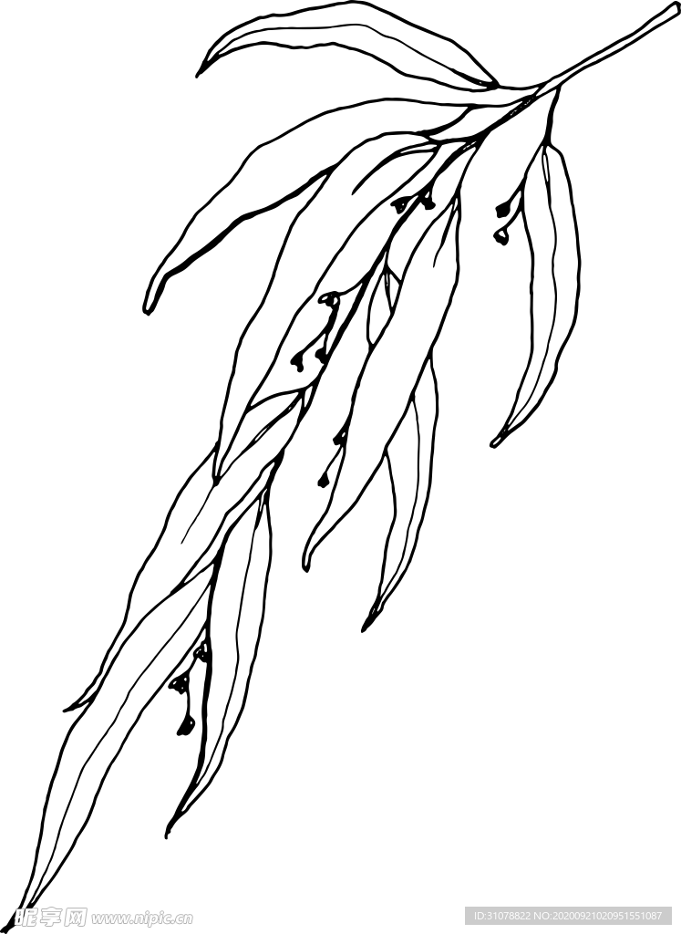 植物花朵装饰图案