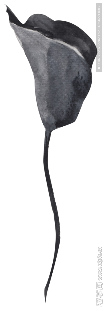北欧小清新水彩植物图案
