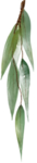 北欧小清新水彩植物图案