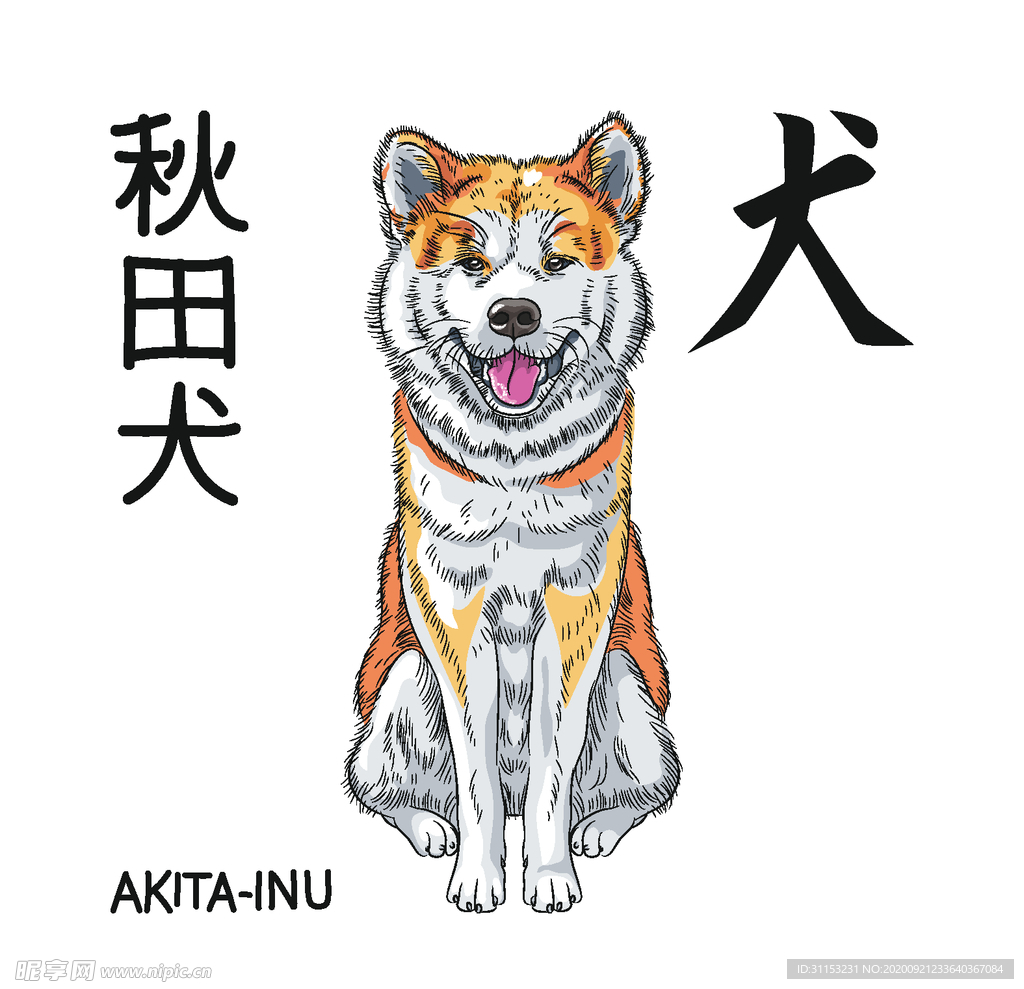 狗狗