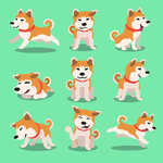 狗狗