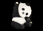 手绘小熊猫