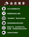 会员尊享