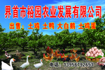 农业农厂农庄