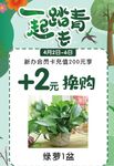 踏青活动