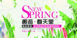 春天