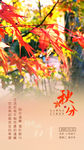 秋分