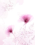 红花  梦幻 花朵  粉色