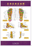 足底反射图