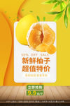 柚子海报