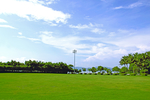 草坪