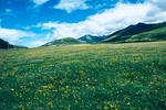 川藏线沿途草原风景