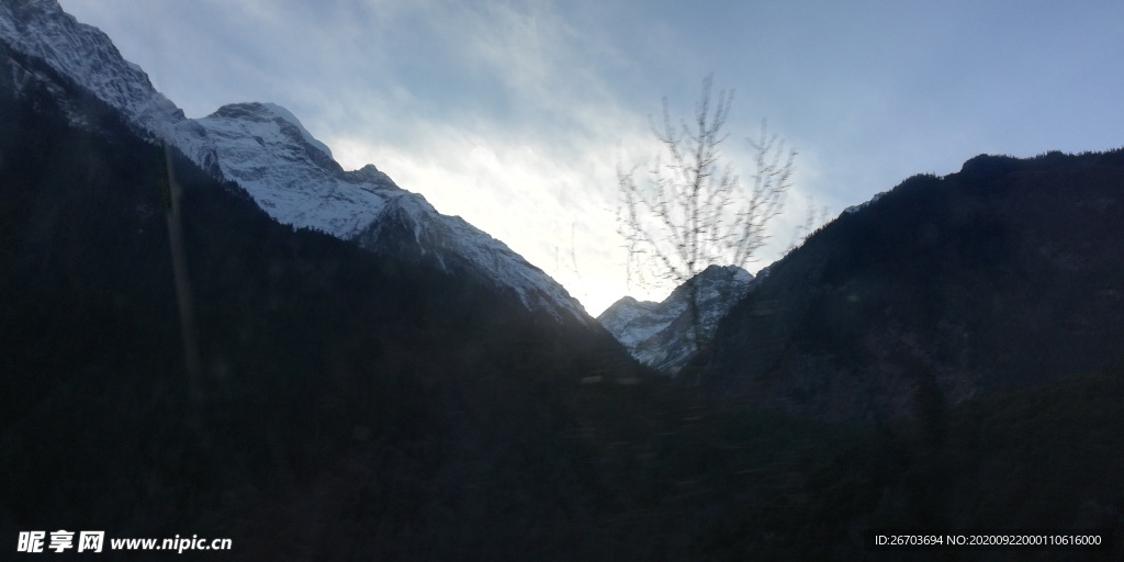 雪山树木风景