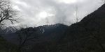 天空乌云雪松树木风景