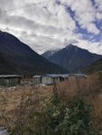 山村小屋荒草风景