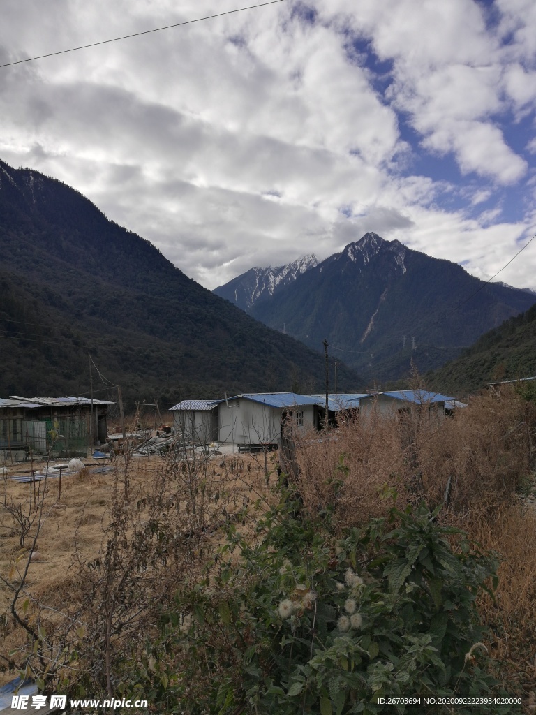 山村小屋荒草风景