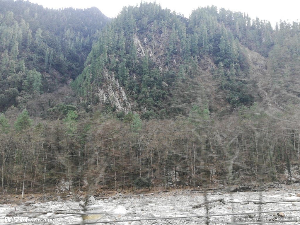 山林雪松风景