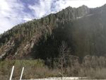 高山绿树森林风景